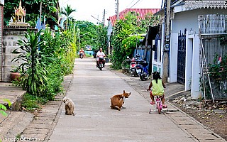 A back street in Sukhothai