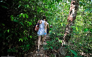 Trekking in Penang National Park